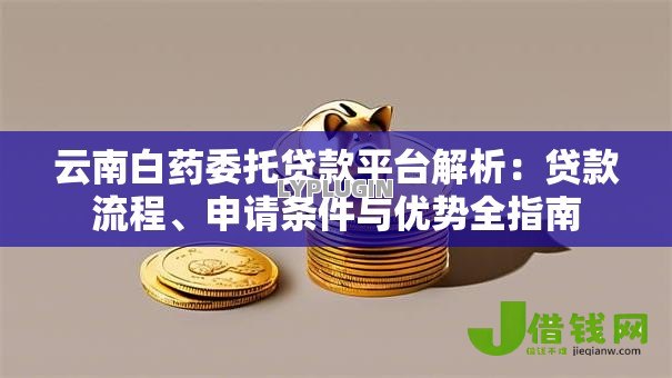 云南白药委托贷款平台解析：贷款流程、申请条件与优势全指南
