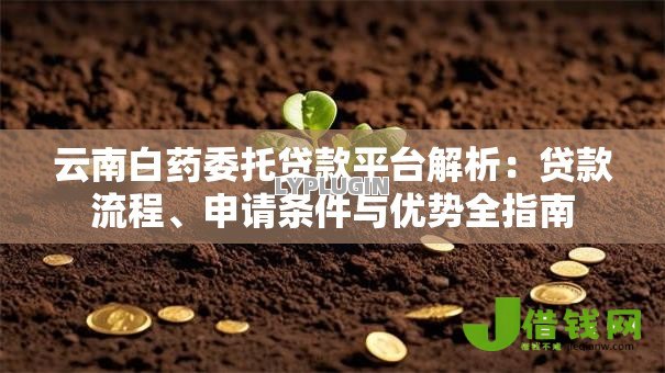云南白药委托贷款平台解析：贷款流程、申请条件与优势全指南