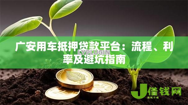 广安用车抵押贷款平台：流程、利率及避坑指南