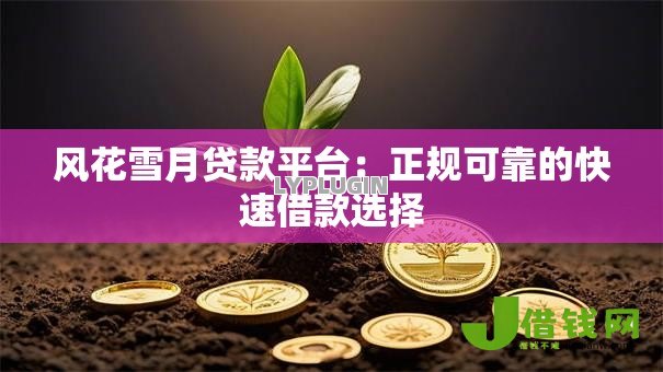 风花雪月贷款平台：正规可靠的快速借款选择