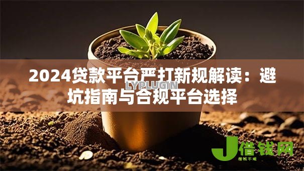 2024贷款平台严打新规解读：避坑指南与合规平台选择
