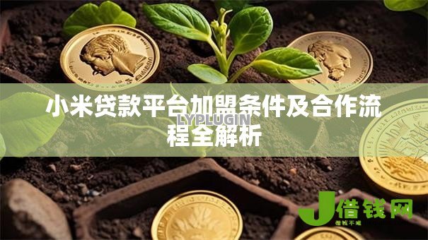 小米贷款平台加盟条件及合作流程全解析