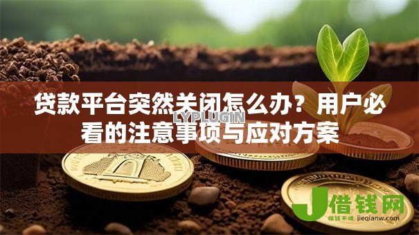 贷款平台突然关闭怎么办？用户必看的注意事项与应对方案
