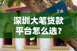 深圳大笔贷款平台怎么选?10年从业者教你避坑指南 深圳大笔贷款平台怎么选?10年从业者教你避坑指南