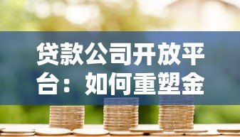 贷款公司开放平台：如何重塑金融生态与用户价值