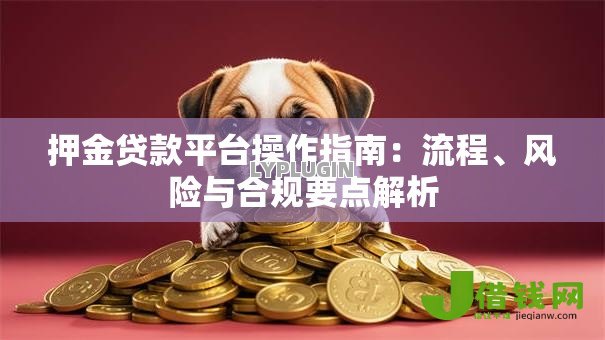 押金贷款平台操作指南：流程、风险与合规要点解析