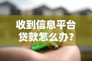 收到信息平台贷款怎么办？5个关键步骤教你正确处理