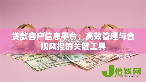 贷款客户信息平台：高效管理与合规风控的关键工具