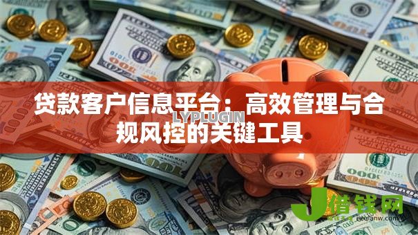 贷款客户信息平台：高效管理与合规风控的关键工具