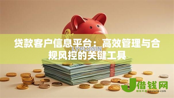 贷款客户信息平台：高效管理与合规风控的关键工具