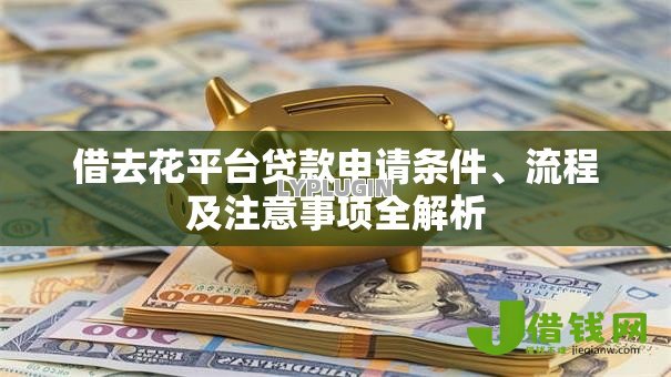 借去花平台贷款申请条件、流程及注意事项全解析