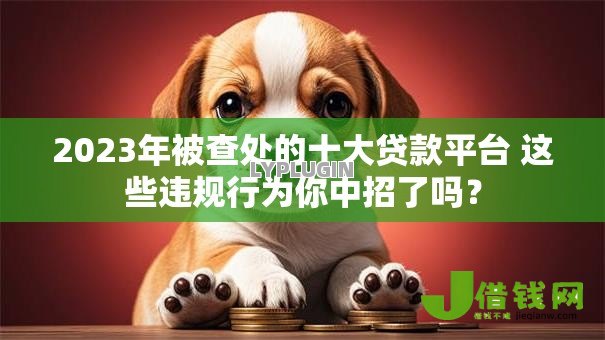 2023年被查处的十大贷款平台 这些违规行为你中招了吗？