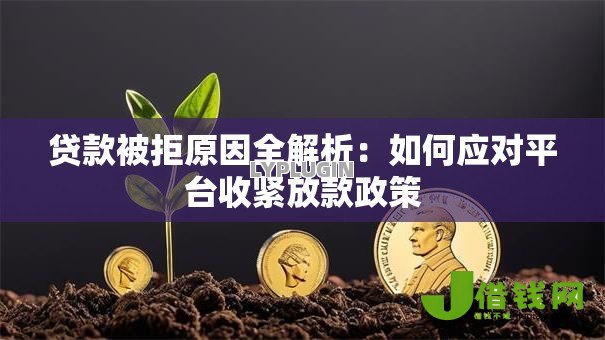 贷款被拒原因全解析:如何应对平台收紧放款政策 贷款被拒原因全解析:如何应对平台收紧放款政策