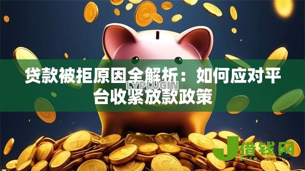 贷款被拒原因全解析:如何应对平台收紧放款政策 贷款被拒原因全解析:如何应对平台收紧放款政策