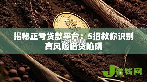 揭秘正亏贷款平台:5招教你识别高风险借贷陷阱 揭秘正亏贷款平台:5招教你识别高风险借贷陷阱