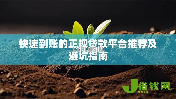 快速到账的正规贷款平台推荐及避坑指南