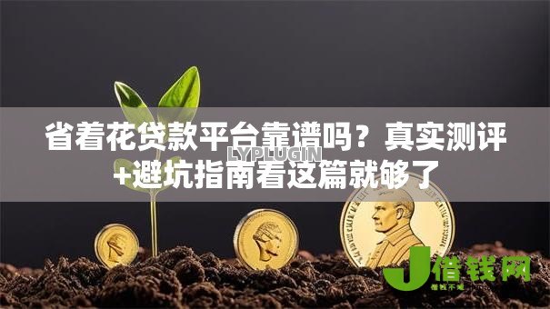 省着花贷款平台靠谱吗？真实测评+避坑指南看这篇就够了