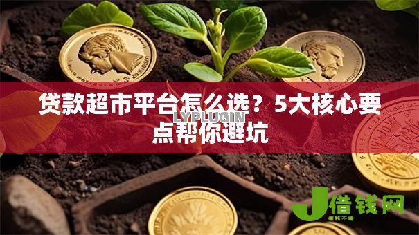 贷款超市平台怎么选？5大核心要点帮你避坑