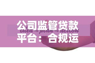 公司监管贷款平台:合规运营与风险控制的五大核心策略 公司监管贷款平台:合规运营与风险控制的五大核心策略