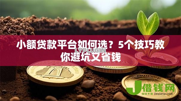 小额贷款平台如何选？5个技巧教你避坑又省钱