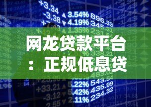 网龙贷款平台:正规低息贷款产品解析与申请指南 网龙贷款平台:正规低息贷款产品解析与申请指南