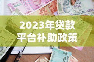 2023年贷款平台补助政策解析及申请攻略