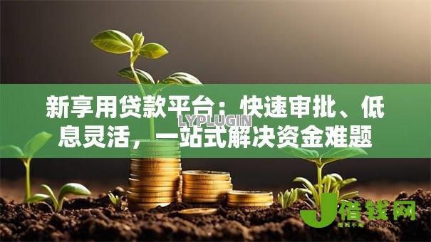 新享用贷款平台：快速审批、低息灵活，一站式解决资金难题