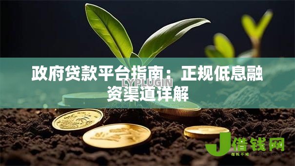 政府贷款平台指南：正规低息融资渠道详解