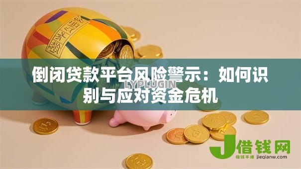 倒闭贷款平台风险警示：如何识别与应对资金危机