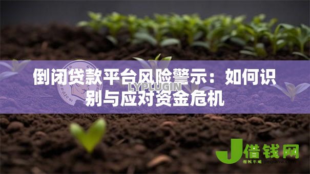 倒闭贷款平台风险警示：如何识别与应对资金危机