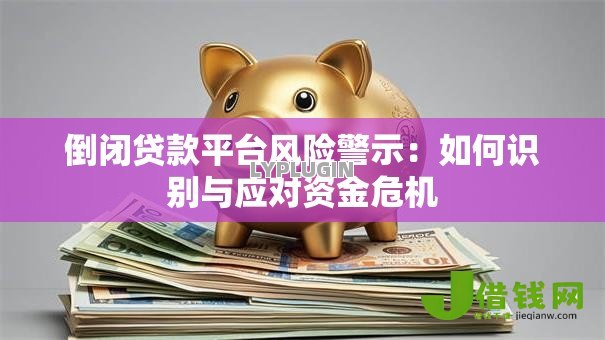 倒闭贷款平台风险警示：如何识别与应对资金危机