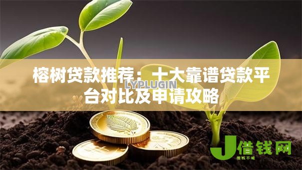 榕树贷款推荐：十大靠谱贷款平台对比及申请攻略