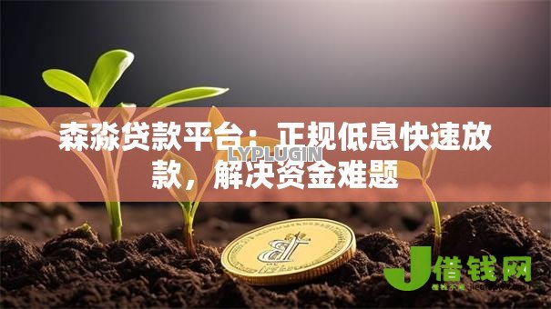 森淼贷款平台：正规低息快速放款，解决资金难题