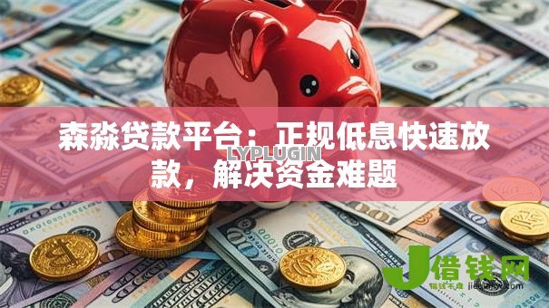 森淼贷款平台：正规低息快速放款，解决资金难题