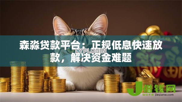 森淼贷款平台：正规低息快速放款，解决资金难题