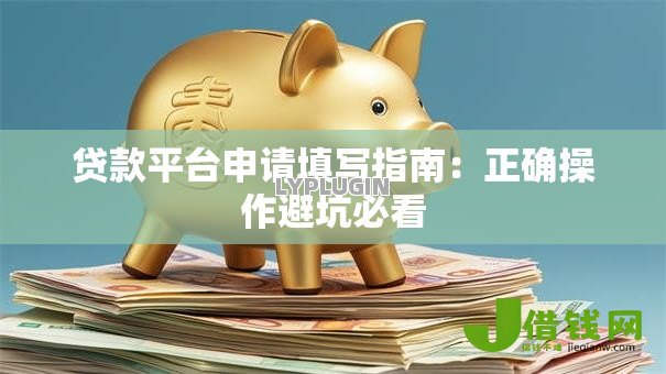 贷款平台申请填写指南：正确操作避坑必看