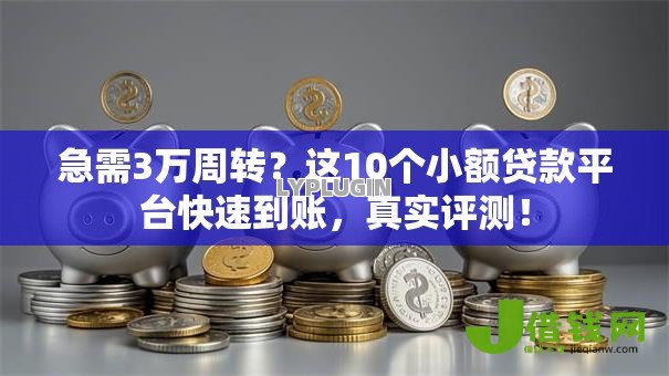 急需3万周转？这10个小额贷款平台快速到账，真实评测！