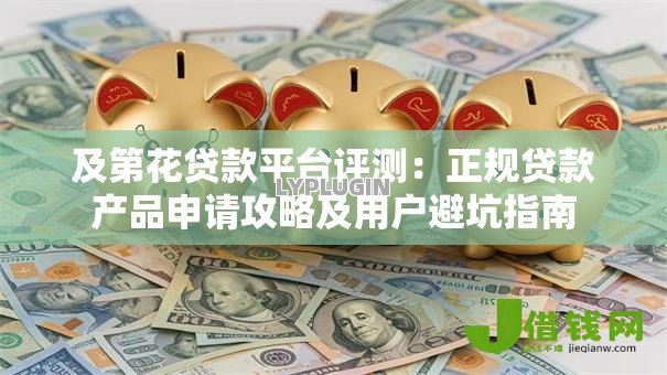及第花贷款平台评测：正规贷款产品申请攻略及用户避坑指南