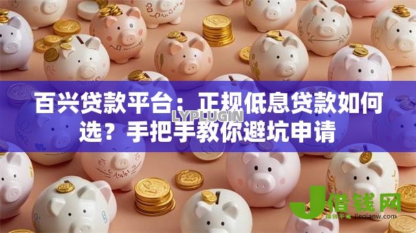百兴贷款平台：正规低息贷款如何选？手把手教你避坑申请