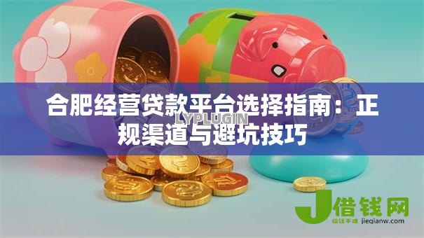 合肥经营贷款平台选择指南：正规渠道与避坑技巧