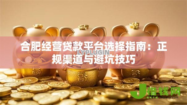 合肥经营贷款平台选择指南：正规渠道与避坑技巧