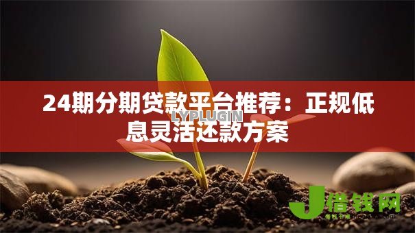 24期分期贷款平台推荐:正规低息灵活还款方案 24期分期贷款平台推荐:正规低息灵活还款方案