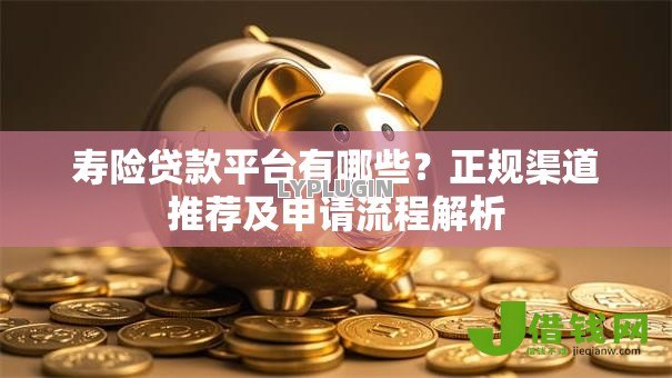 寿险贷款平台有哪些？正规渠道推荐及申请流程解析