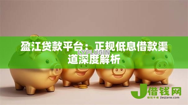 盈江贷款平台：正规低息借款渠道深度解析