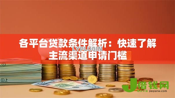 各平台贷款条件解析：快速了解主流渠道申请门槛