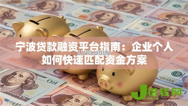 宁波贷款融资平台指南：企业个人如何快速匹配资金方案