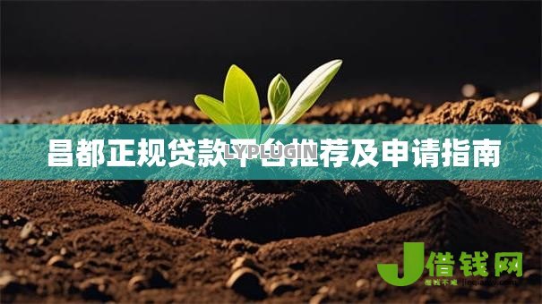 昌都正规贷款平台推荐及申请指南