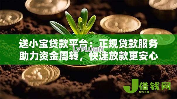 送小宝贷款平台:正规贷款服务助力资金周转,快速放款更安心 送小宝贷款平台:正规贷款服务助力资金周转,快速放款更安心