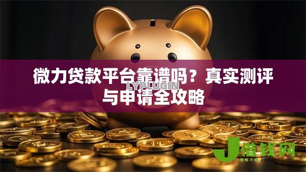 微力贷款平台靠谱吗？真实测评与申请全攻略