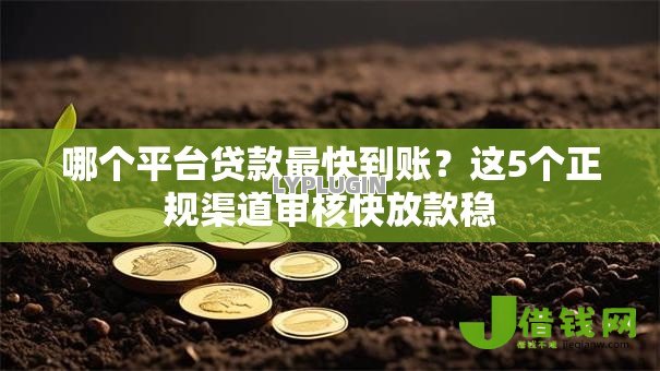 哪个平台贷款最快到账?这5个正规渠道审核快放款稳 哪个平台贷款最快到账?这5个正规渠道审核快放款稳